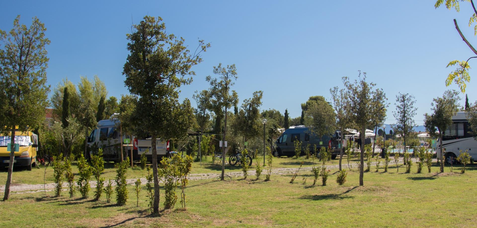 Campeggio con camper tra alberi e cielo sereno.